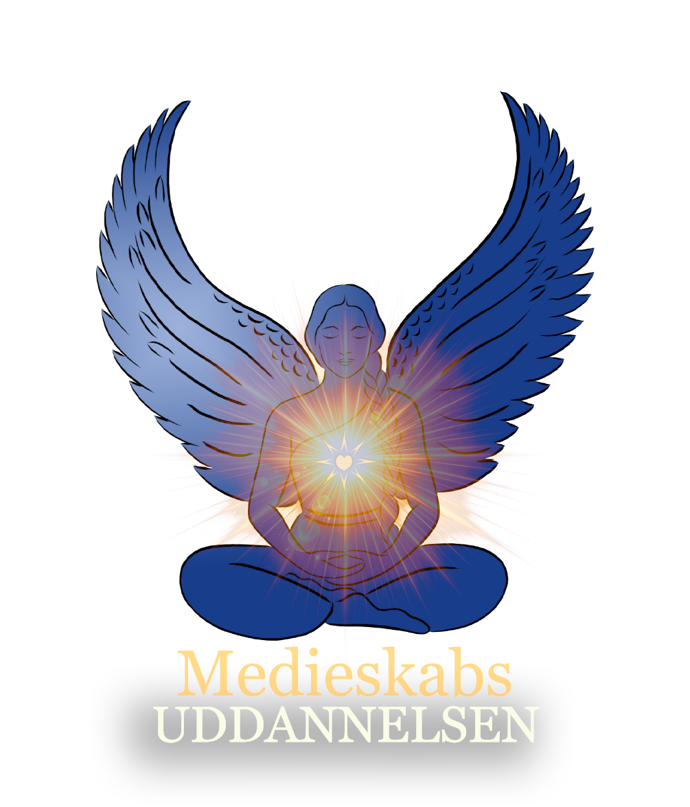 Medieskabs Uddannelsen